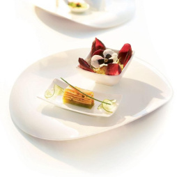 Тарелка овальная 315*265 мм. Тенденси Zenix /6/12/ VV