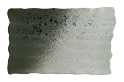 Блюдо прямоугольное 280*185 мм. Гайя BONNA /1/4/720/