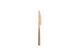 Нож столовый COMAS CANADA M 18% VINTAGE COPPER