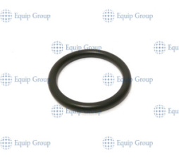 Уплотнительное кольцо для кофемашины ASTORIA GEMMA 12620001