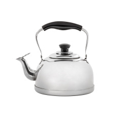Чайник из нержавеющей стали RGS-3054 3л.