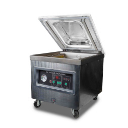 Вакуумный упаковщик настольный DZQ-400/2T (нерж., газ)