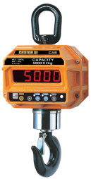 Весы товарные электронные CAS 5THD