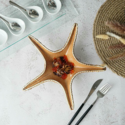 Блюдо для подачи 28*28 см h6 см 100 мл Звезда Pearl Starfish Frutti di Mare P.L. [1]