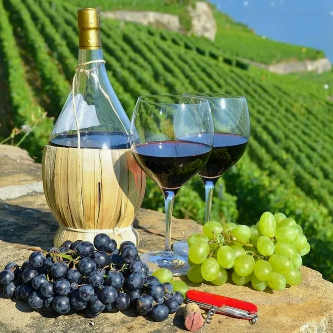 История вина